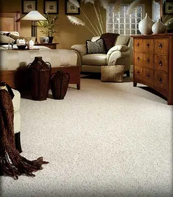 Carpet store - Lakeland, Ocala, Ormond Beach, Savannah, Tallahassee