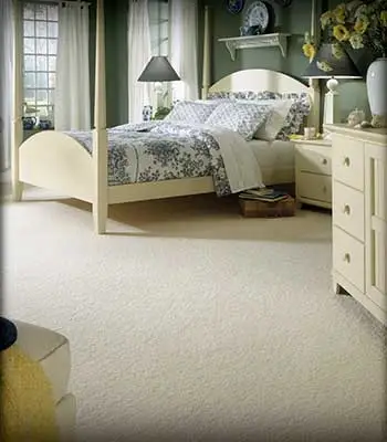 Berber carpet in Lakeland, Ocala, Ormond Beach, Savannah, and Tallahassee